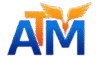 ATM INSTITUTE 